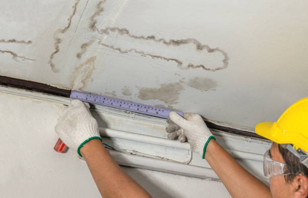 Reliable Mold Remediation contractor in Crestline, CA by Water Damage Irwin
